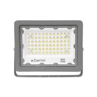ราคา สปอตไลท์ภายนอก LED CARINI NYSP50W 50 วัตต์ DAYLIGHT (1232776)
