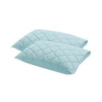 ราคา ปลอกหมอนหนุนกันเปื้อน PICASSO สี GREEN MINT แพ็ก 2 ชิ้น (1233907)