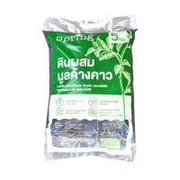 ราคา ดินผสมมูลค้างคาว SPRING 5 กก. (1237337)