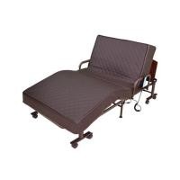 ราคา เตียงพับไฟฟ้าพร้อม TOPPER THAIBULL OLTLM5-350-90 (1240827)