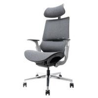 ราคา เก้าอี้สุขภาพ ERGOTREND X-BEYOND สีเทา (1243256)