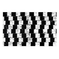 ราคา พรม PRAW DE LADDER 120X180 ซม. สีดำ/ขาว (1246081)