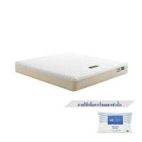 ราคา ที่นอน 3.5 ฟุต LOTUS HUDSON II พร้อมหมอนหนุน 1 ชิ้น (1246761)