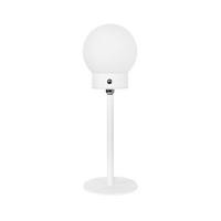 ราคา ไฟตั้งโต๊ะ LED CARINI T231007 3 วัตต์ สีขาว (1246890)