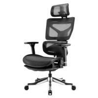 ราคา เก้าอี้สุขภาพ WORK STATION MODEL-S สีดำ/เงิน (1252030)