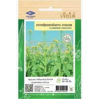 ราคา เมล็ดพันธุ์กวางตุ้งดอกต้นขาว ขาวนวล ตราเจียไต๋ โฮมการ์เด้น 10 ก. (1255653)