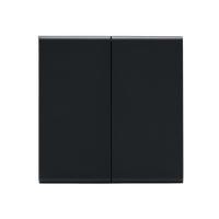 ราคา ชุดสวิตซ์ 2 ทาง 2 ช่อง SAHN D022-BL สีดำ (1257200)