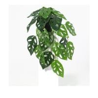 ราคา ต้นมอนสเตอร่าประดิษฐ์ใบเขียว SPRING 35 ซม. (1259342)