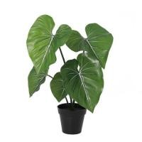 ราคา ต้นนางกวักประดิษฐ์ SPRING 46 ซม. (1259613)