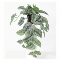 ราคา ต้นพลูหัวใจแนบประดิษฐ์ SPRING 48 ซม. (1259615)