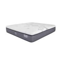 ราคา ที่นอน 6 ฟุต SYNDA TITANIUM (1262075)