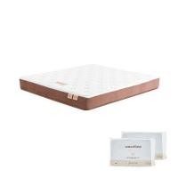 ราคา ที่นอน 6 ฟุต WOODFIELD ECIO I พร้อมหมอนหนุน 2 ชิ้น (1262678)