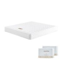 ราคา ที่นอน 5 ฟุต WOODFIELD NEON I พร้อมหมอนหนุน 2 ชิ้น (1263773)