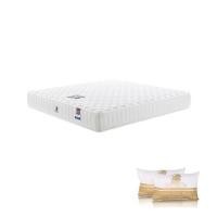 ราคา ที่นอน 5 ฟุต DUNLOPILLO ANGEL พร้อมหมอนหนุน 2 ชิ้น (1268001)