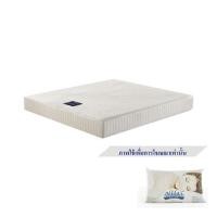 ราคา ที่นอน 3.5 ฟุต MIDAS GREEN BAY พร้อมหมอนหนุน 1 ชิ้น (1268234)