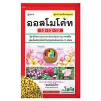 ราคา ปุ๋ยอนินทรีย์ ออสโมโค้ท 13-13-13 100 ก. (1271054)