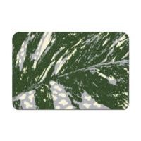 ราคา พรมเช็ดเท้าดักฝุ่น PRAW TROPICAL DAVIL'S IVY DE/PR147 50X75 ซม. สีเขียว (1273304)