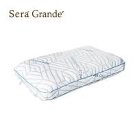 ราคา หมอนสุขภาพ MEMORY FOAM SERA GRANDE COOL BALANCE สีขาว (1273851)