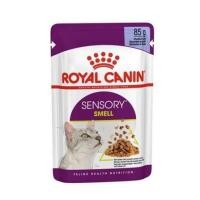 ราคา อาหารเปียกแมว ROYAL CANIN SENSORY SMELL JELLY 85 ก. (1222780)