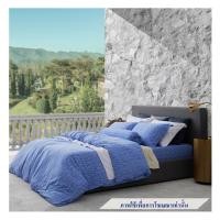 ราคา ชุดผ้าปูที่นอน 6 ฟุต 5 ชิ้น ELLE PARIS SIMPLICITE MACARO(S24) (1278852)