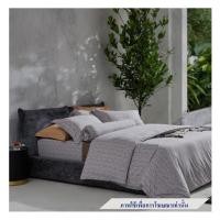 ราคา ชุดผ้าปูที่นอน 3.5 ฟุต 3 ชิ้น ELLE PARIS SIMPLICITE SOUFFLE (S24) (1279490)