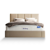 ราคา ที่นอน 6 ฟุต SLEEPHAPPY ECSTASY (888109800009)