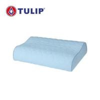 ราคา หมอนสุขภาพ TULIP 00611 15X23 นิ้ว สีฟ้า (249980)