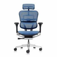 ราคา เก้าอี้เพื่อสุขภาพ DF PROCHAIR รุ่น Ergo Elite Pro สีน้ำเงิน (888121800002)