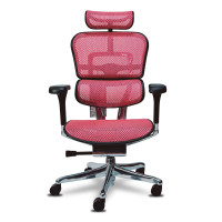ราคา เก้าอี้เพื่อสุขภาพ DF PROCHAIR รุ่น Ergo Elite Pro สีชมพู (888121800003)
