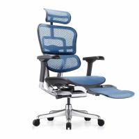 ราคา เก้าอี้เพื่อสุขภาพ DF PROCHAIR รุ่น Ergo Elite Pro+ สีน้ำเงิน (888121800006)