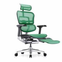 ราคา เก้าอี้เพื่อสุขภาพ DF PROCHAIR รุ่น Ergo Elite Pro+ สีเขียว (888121800008)