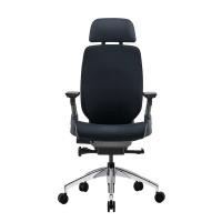 ราคา เก้าอี้เพื่อสุขภาพ DF PROCHAIR รุ่น Challenge สีดำ (888121800017)