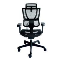 ราคา เก้าอี้เพื่อสุขภาพ DF PROCHAIR รุ่น เก้าอี้เพื่อสุขภาพ รุ่น CL-H Project สีดำ (888121800026)