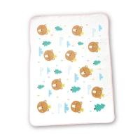 ราคา ผ้ารองเปียกผ้าสำลี GRACE KIDS (888127200043)