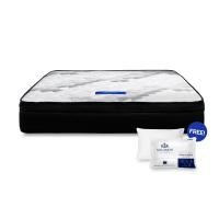 ราคา ที่นอน 6 ฟุต SOLOMON รุ่น Pluto หนา 11 นิ้ว (888128200016)