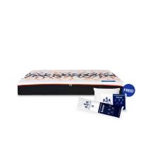 ราคา ที่นอนยางพารา 5 ฟุต SOLOMON รุ่น Perfection หนา 8 นิ้ว แถมหมอนหนุน 2 ใบ หมอนข้าง 1 ใบ (888128200110)