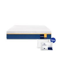 ราคา ที่นอนยางพารา 5 ฟุต SOLOMON รุ่น Sunshine หนา 8 นิ้ว (888128200116)