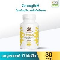 ราคา เบญจออยล์ บี โปรลิส 30 แคปซูล (888133900012)