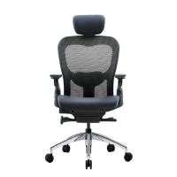 ราคา เก้าอี้เพื่อสุขภาพ DF PROCHAIR รุ่น Wonder-H สีดำ (888121800018)