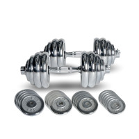 ราคา ดัมเบลโครเมี่ยม ปรับน้ำหนัก Homefittools 50 kg สีเงิน (888139600033)