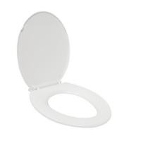 ราคา ฝารองนั่ง SLOW CLOSE WSP TS4-5 (1274962)