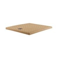 ราคา แผ่นรองนอน 6 ฟุต DUNLOPILLO TALASILVER PLUSH III (1285254)