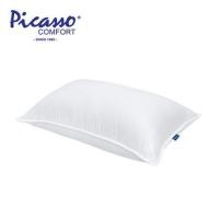 ราคา หมอนหนุน PICASSO HYBRID DOWN 19X29 นิ้ว (1281094)