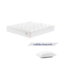 ราคา ที่นอน 5 ฟุต WOODFIELD W-NATURE III (พร้อมหมอนหนุน 2 ชิ้น) (1205491)