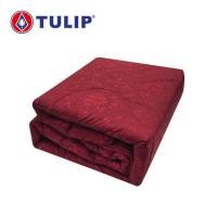 ราคา ผ้านวม TULIP DELIGHT 60X80 นิ้ว 60207-DL107 (1250942)