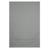 ราคา ผ้าม่านพับ HOME LIVING STYLE TILDA 100X160 ซม. สีเทา (1276091)