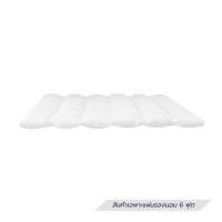 ราคา แผ่นรองนอน 6 ฟุต DREAMERY CT MICRO 2000G (1278135)
