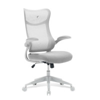 ราคา เก้าอี้ทำงาน TTRacing AIRFLEX V2 ผ้าตาข่าย Ergochair - Ashy Grey (888120500090)