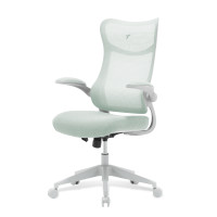 ราคา เก้าอี้ทำงาน TTRacing AIRFLEX V2 ผ้าตาข่าย Ergochair - Minty Green (888120500091)