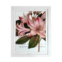 ราคา กรอบรูป PTS FLOWER 2 14X18 นิ้ว สีขาว (1231208)